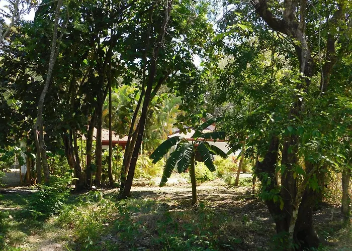 Villasjungle 1 Сasa de vacaciones