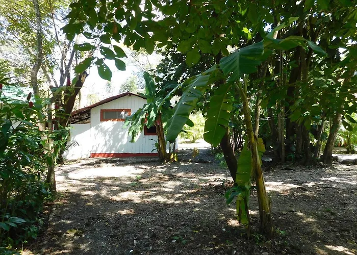Сasa de vacaciones Villasjungle 1 *